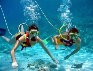 samui snookah diving