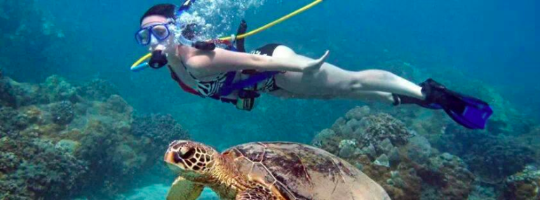 samui snookah diving