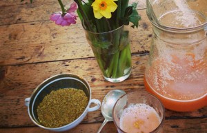 Detox retreat