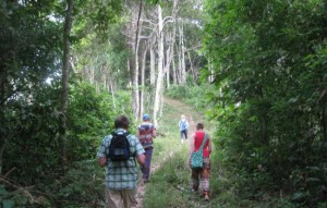 Hiking on Samui Tours