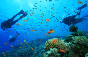 Scuba Diving at Angthong National Marine Park