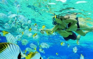 Snorkeling at Angthong National Marine Park