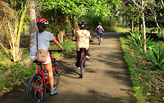 Samui Cycling Tours