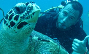 Diving in Samui