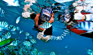 Snorkelling at Samui