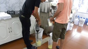Leonardo Ice Cream Samui