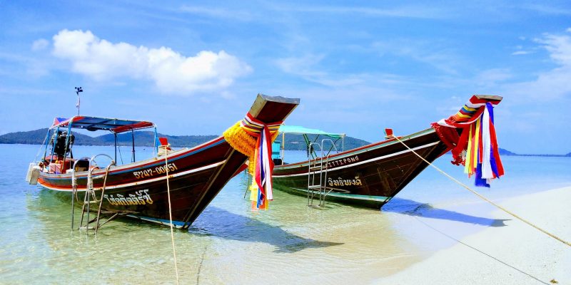 Get ready for an unforgettable journey to the Pig Island.