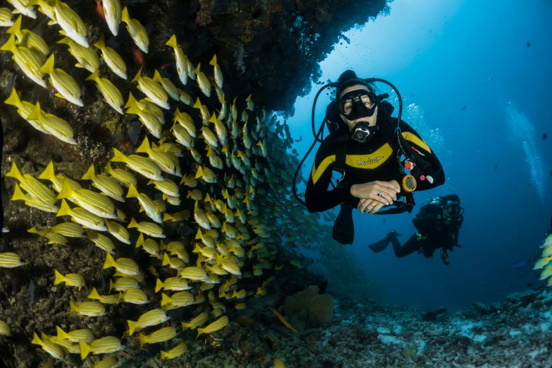 Best dive sites in Koh Samui