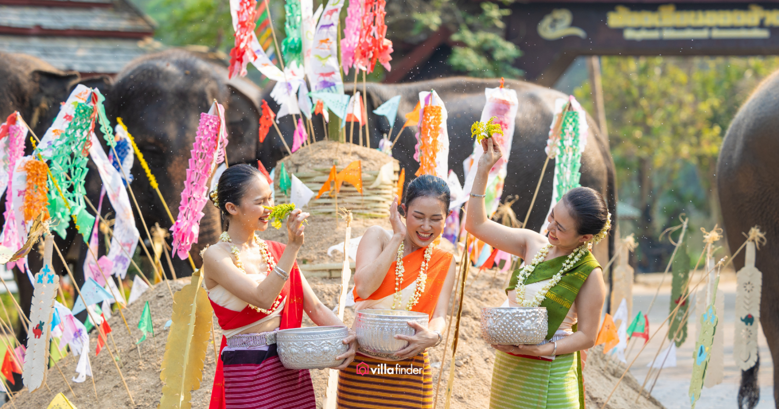Samui Events Calendar_ What You Must Attend This Year